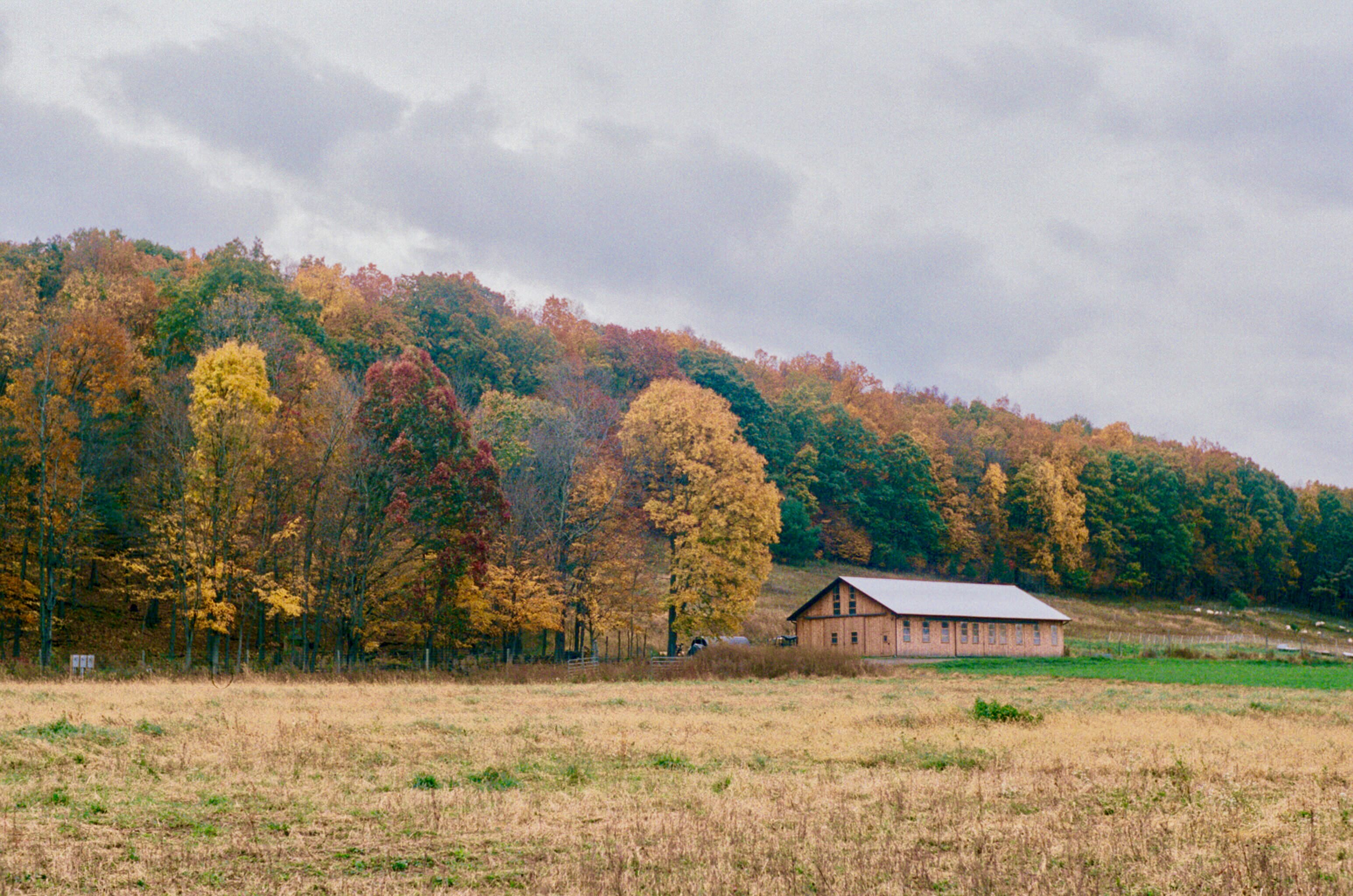 fall barn view